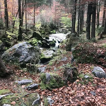 Nussbaum Appartement