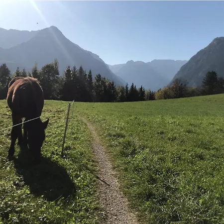 Nussbaum 公寓 哥林素萨尔察赫