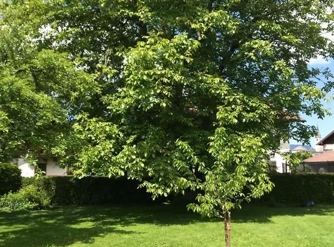 アパート Nussbaum *