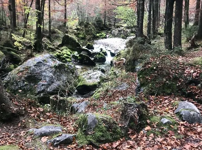 Nussbaum アパート