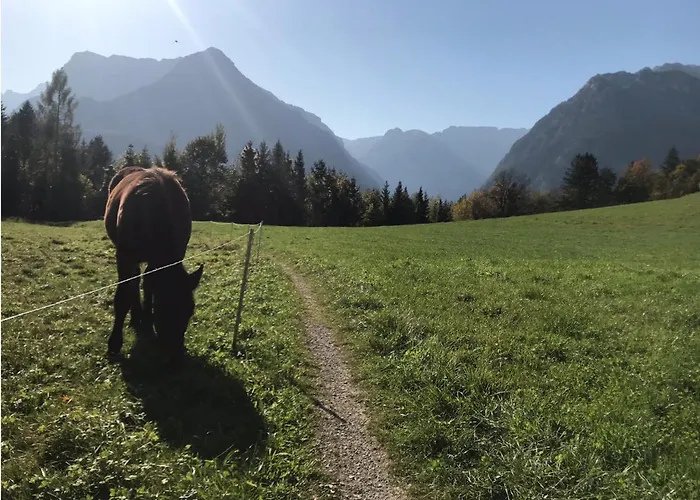 Nussbaum Daire Golling an der Salzach